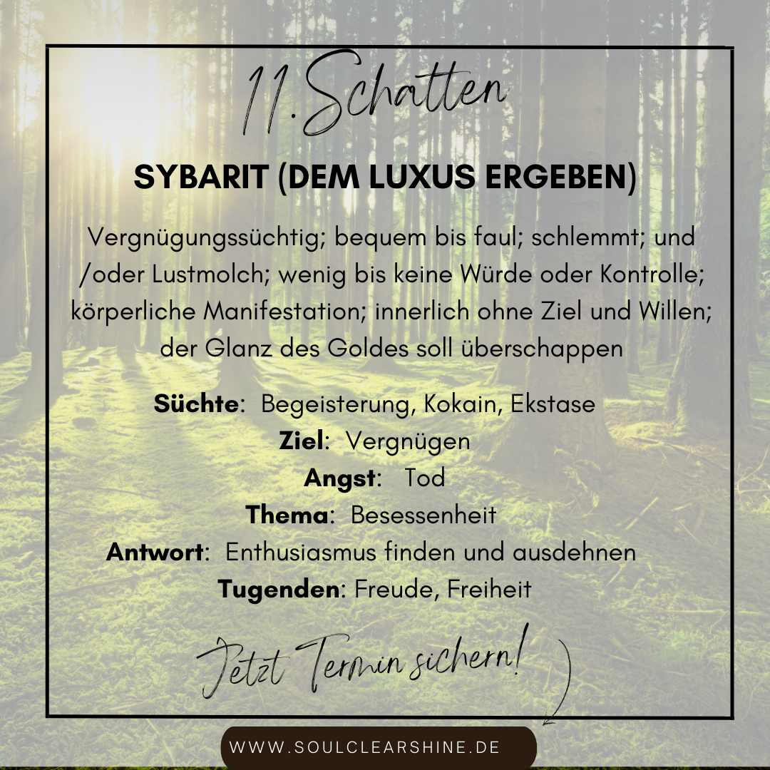 11.schatten