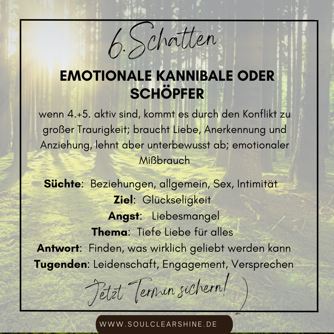 6.schatten